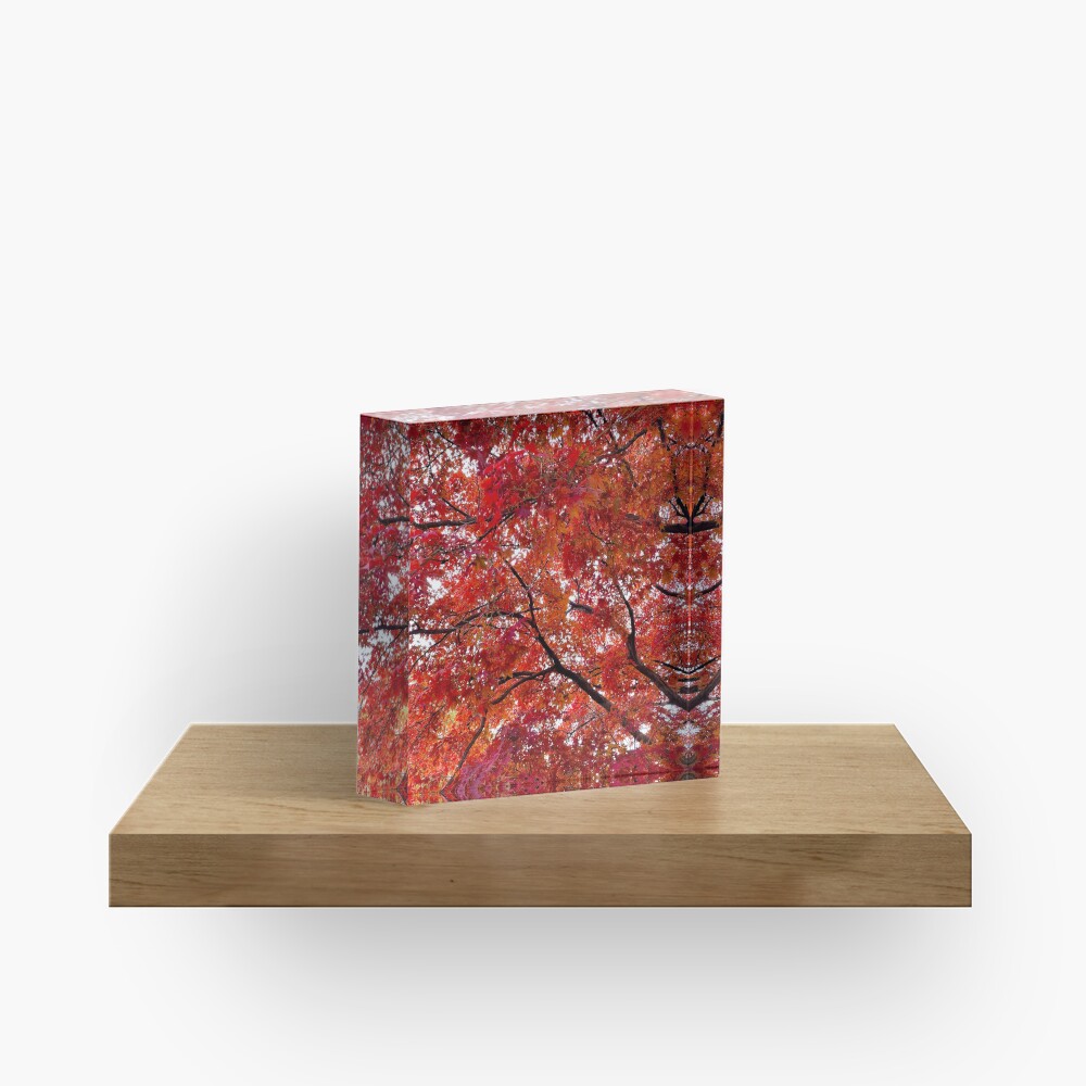 Item preview, Acrylic Block designed and sold by thepinkwoobie.