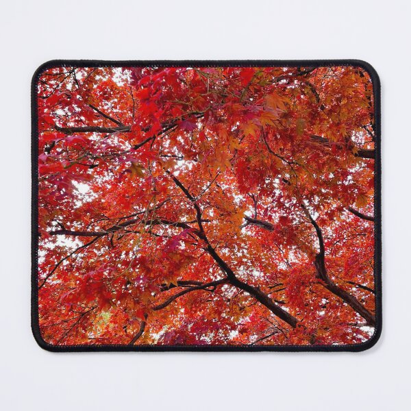 Item preview, Vibrant Red Japanese Maple  designed and sold by thepinkwoobie.