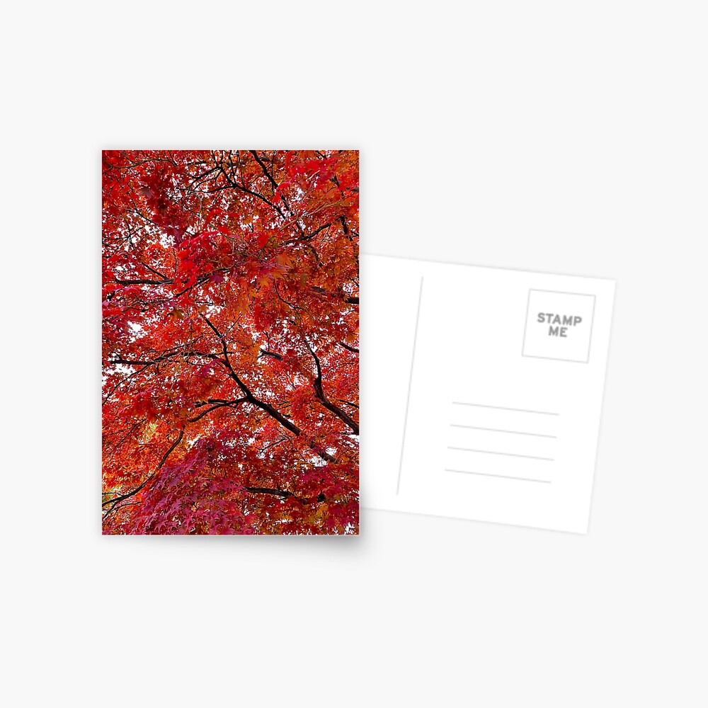 Item preview, Postcard designed and sold by thepinkwoobie.