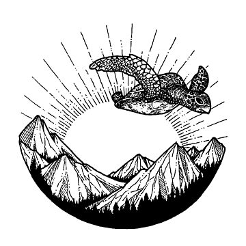 Artwork thumbnail, Turtles do fly by Hanley Watimar