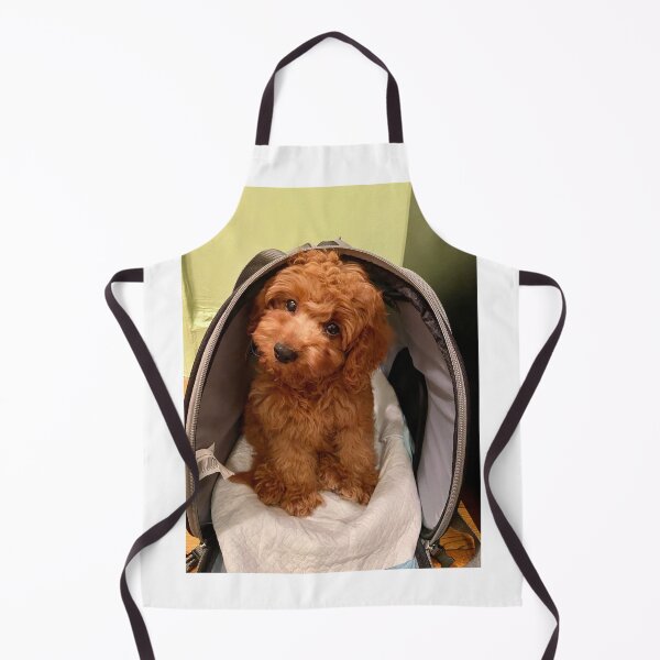Artikelvorschau, Ich liebe Cavapoo entworfen und verkauft von BOBBYBABE.