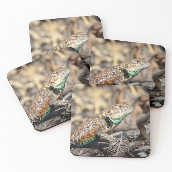 Item preview, Male Desert Spiny designed and sold by Tom Talbott.