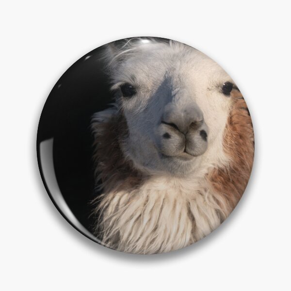 Item preview, Llama portrait designed and sold by Sarah Matula Photography.