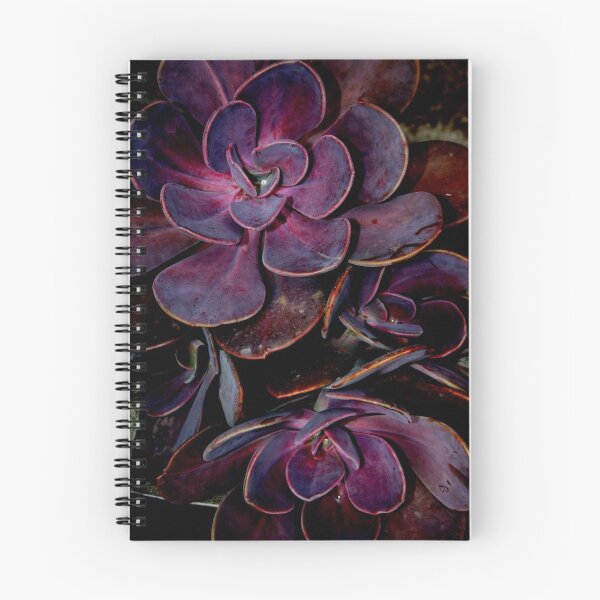 Item preview, velvet aubergine cactus designed and sold by Daniella.