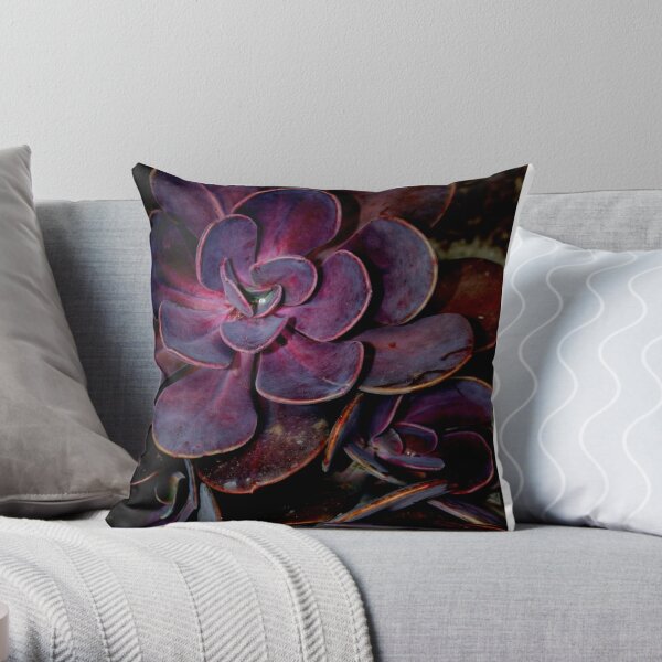 Aubergine cushion outlet covers