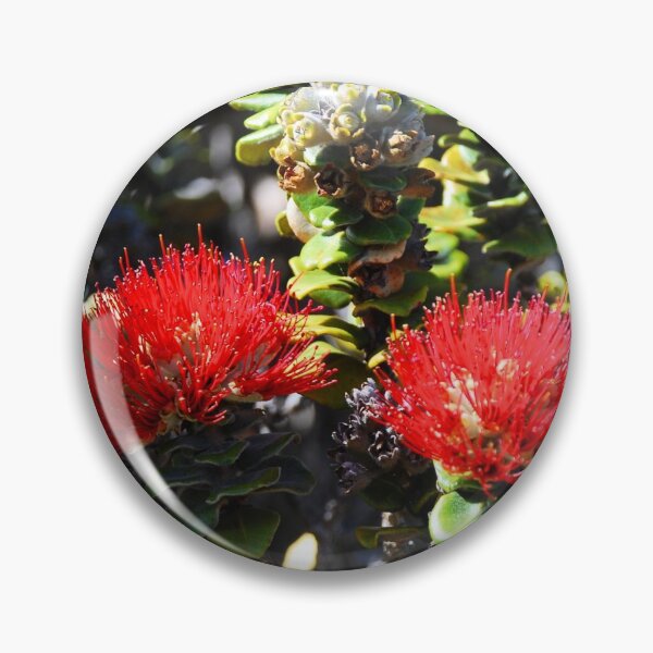 Item preview, Ohia Lehua designed and sold by madewithSOUL.