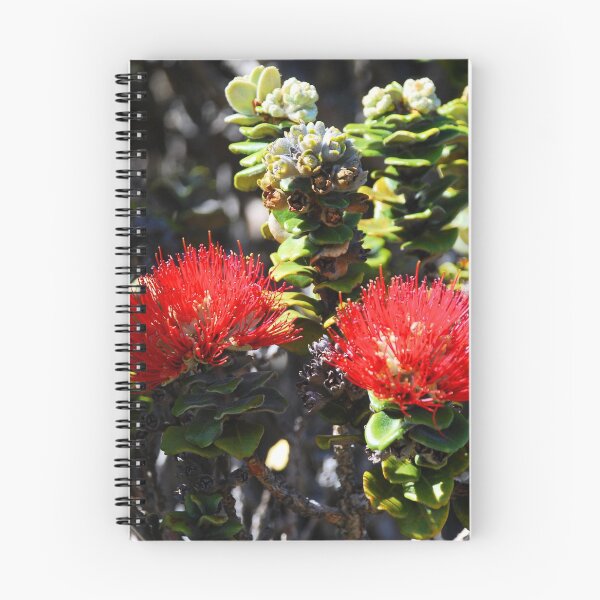 Item preview, Ohia Lehua designed and sold by madewithSOUL.