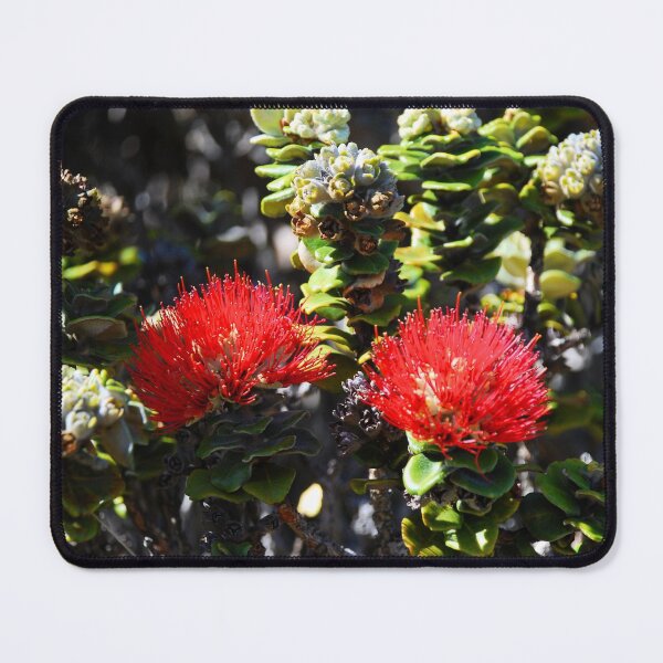 Item preview, Ohia Lehua designed and sold by madewithSOUL.