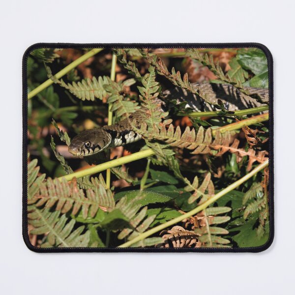 Item preview, Grass snake - Natrix helvetica designed and sold by Christian Moss.