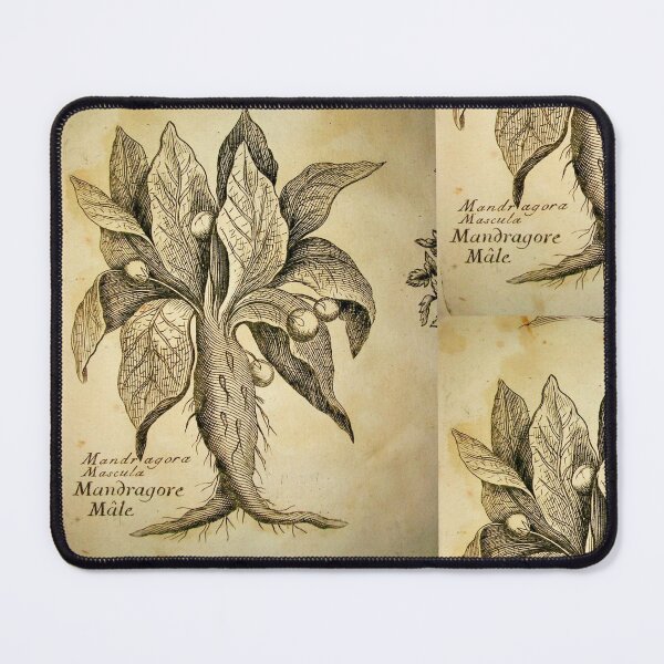 Item preview, Mandragora Engraving designed and sold by chilangopride.