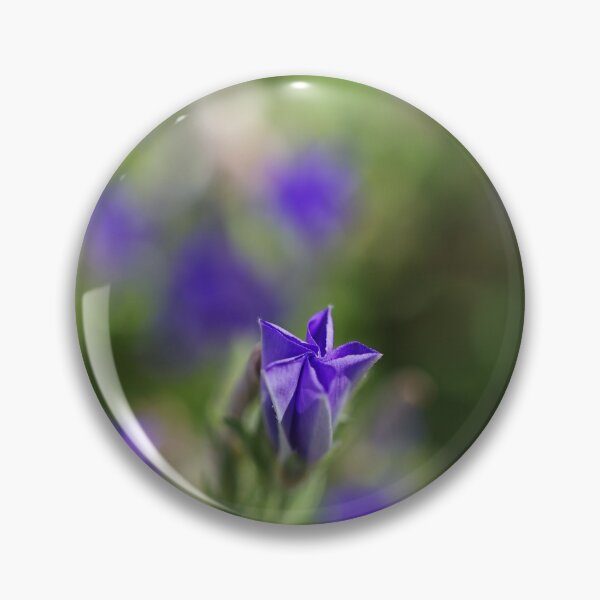 Item preview, Convolvulus Bud Mauve designed and sold by Joy Watson - Natural Light Photography .