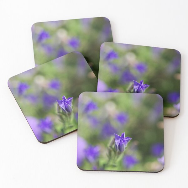 Item preview, Convolvulus Bud Mauve designed and sold by Joy Watson - Natural Light Photography .