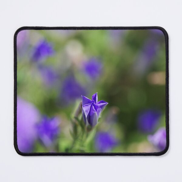 Item preview, Convolvulus Bud Mauve designed and sold by Joy Watson - Natural Light Photography .