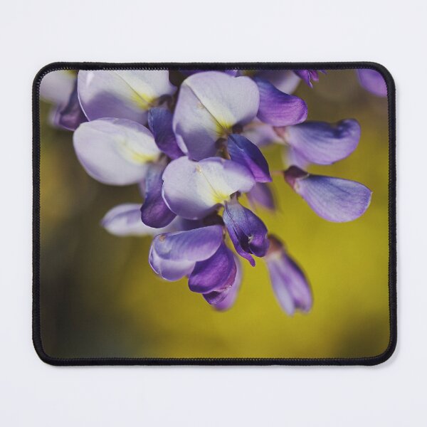 Item preview, Wisteria Over Afternoon Glow designed and sold by Joy Watson - Natural Light Photography .