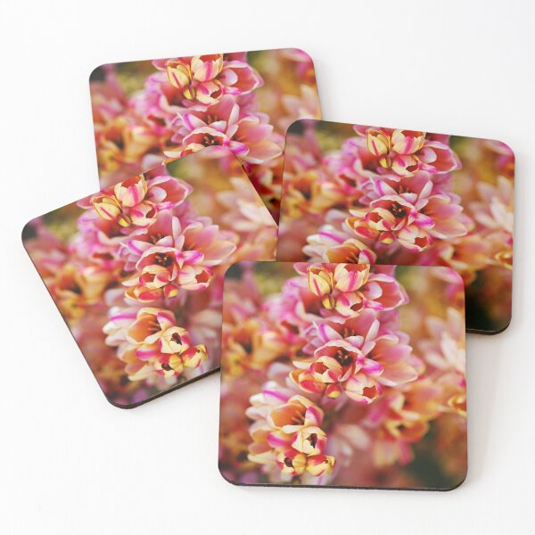 Item preview, African Corn Lilies Displayed designed and sold by Joy Watson - Natural Light Photography .