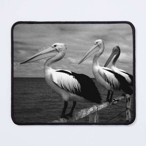 Pelicans @ Semaphore Mouse Pad
