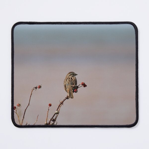 Item preview, Song sparrow designed and sold by PhyllisG-Art.