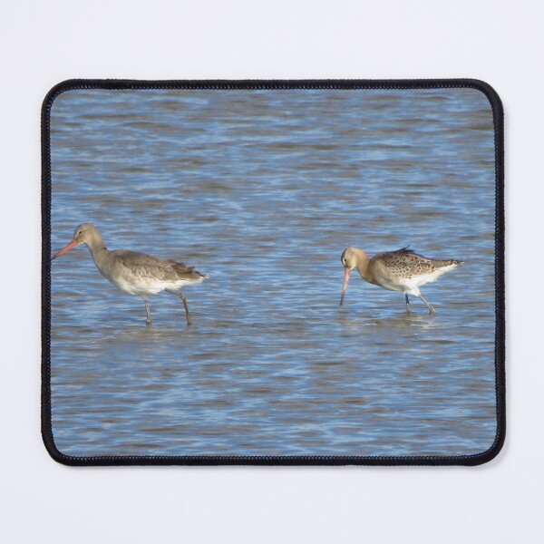 Item preview, Black-Tailed Godwit designed and sold by wiggyofipswich.