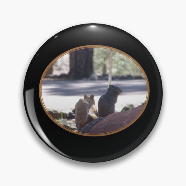 Item preview, Squirrel's New Close Friend Oval-Brown on Black designed and sold by HighCountry2021.