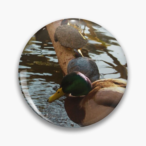 Item preview, Ducks and Turtles Playing in the Pond designed and sold by ColorfulPrints.