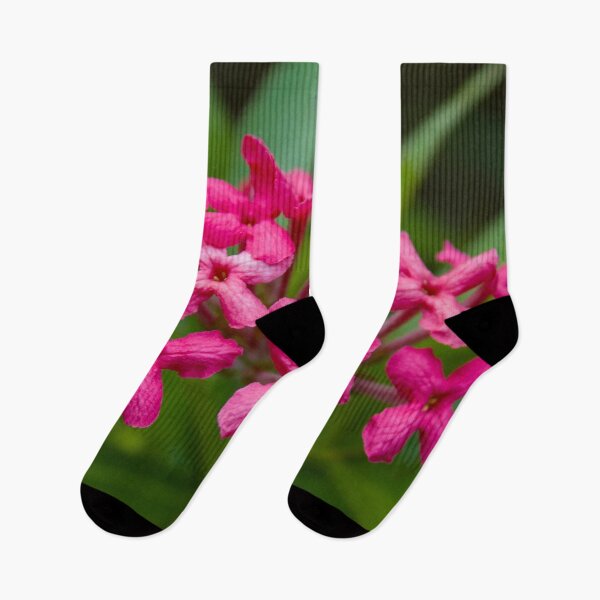 Item preview, Close up of pink flower designed and sold by LD ART.