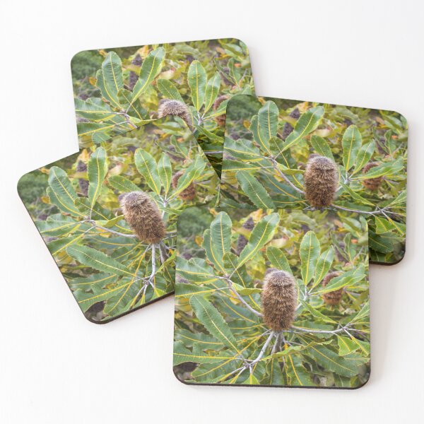 Item preview, Coastal Banksia tree Australian Native designed and sold by LD ART.