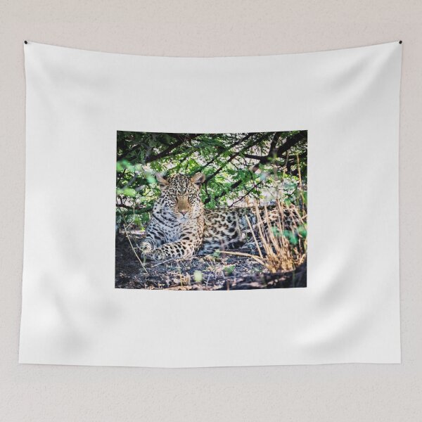 Item preview, Female Leopard Shelters From Sun designed and sold by Graham Prentice.