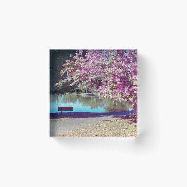 Item preview, Peaceful Bench Under Pink Tree designed and sold by ColorfulPrints.