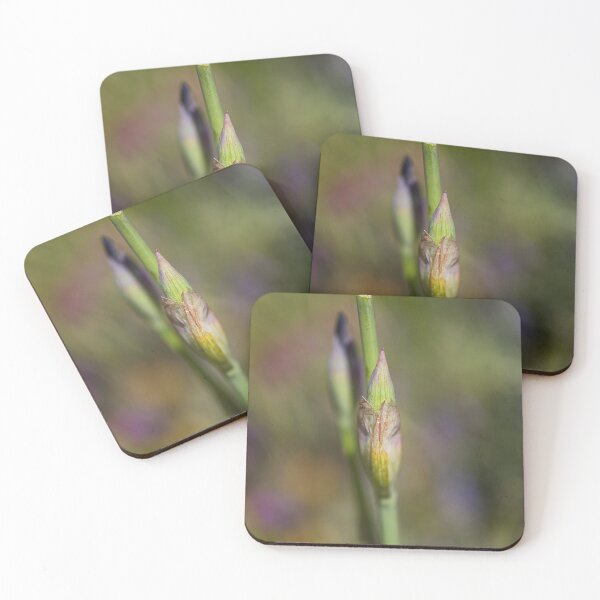 Item preview, Iris Buds Double Stage Act designed and sold by Joy Watson - Natural Light Photography .