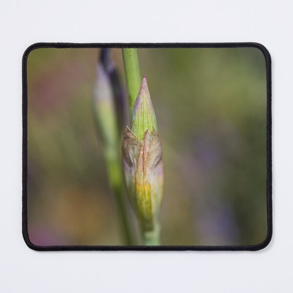 Item preview, Iris Buds Double Stage Act designed and sold by Joy Watson - Natural Light Photography .