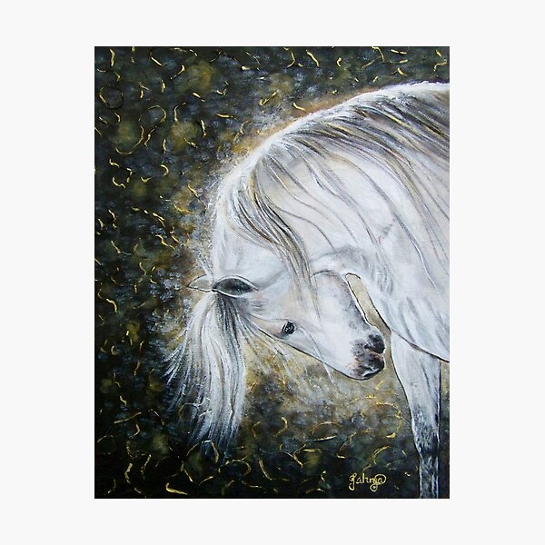 I Bow Before You Photographic Print