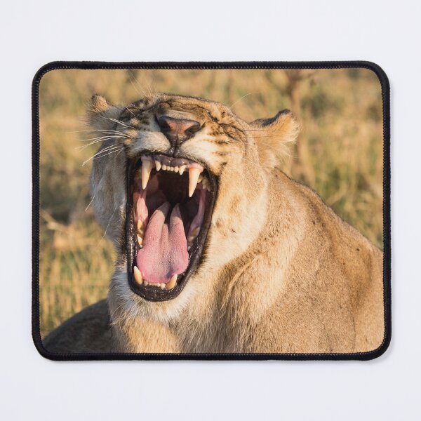 Item preview, Lioness Bares Her Teeth designed and sold by Graham Prentice.