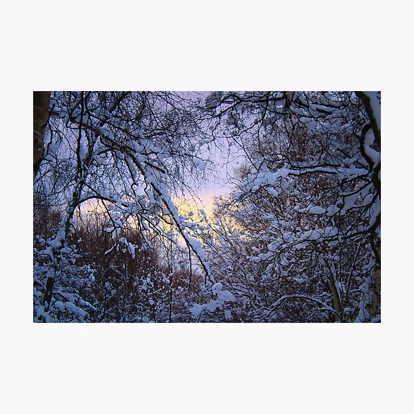Item preview, Snowy Afternoon designed and sold by jenstever.