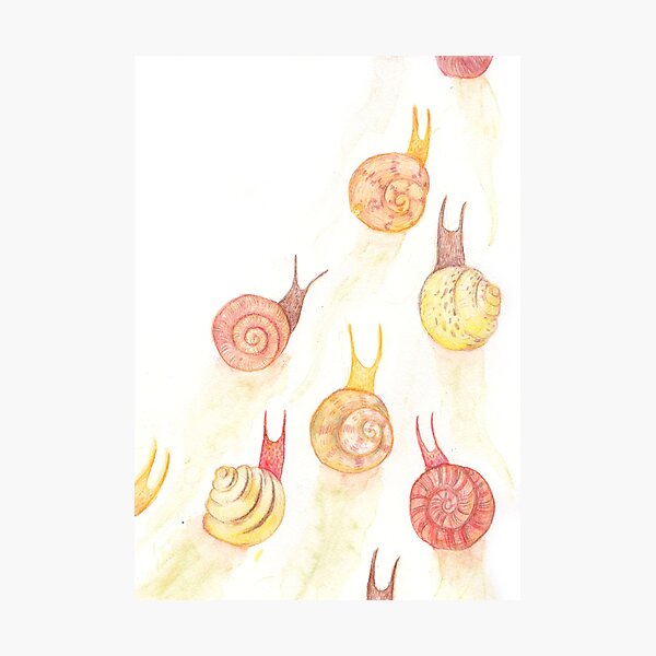 Snail Journey Photographic Print