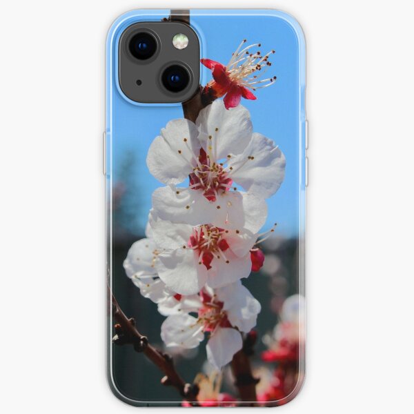 Crab apple blossom iPhone Soft Case