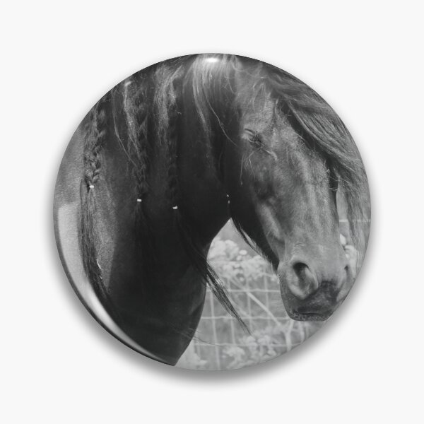 Item preview, Horse with braids in the Scottish Highlands designed and sold by CarolinaReina.