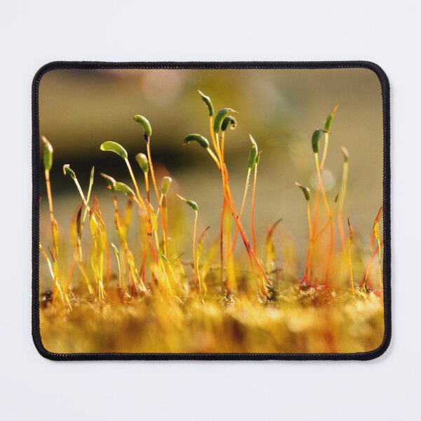 Item preview, A Cheering Crowd designed and sold by cuprum.