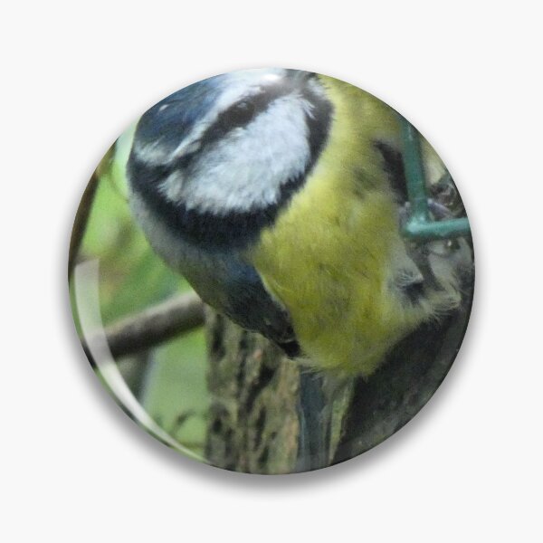 Item preview, blue tit designed and sold by KathleenDawson.