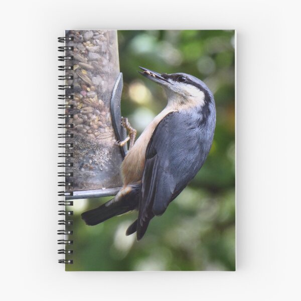 Item preview, nuthatch designed and sold by KathleenDawson.