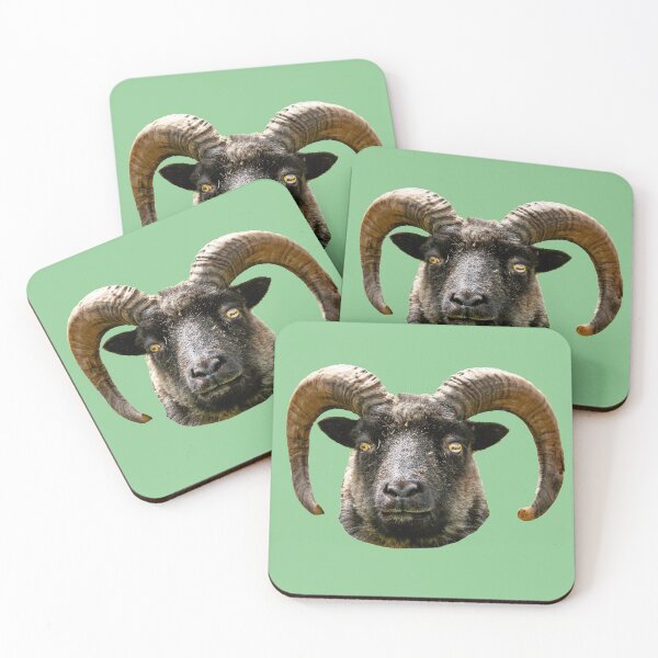 Item preview, North Ronaldsay Ram designed and sold by Dalyndigital Photography.