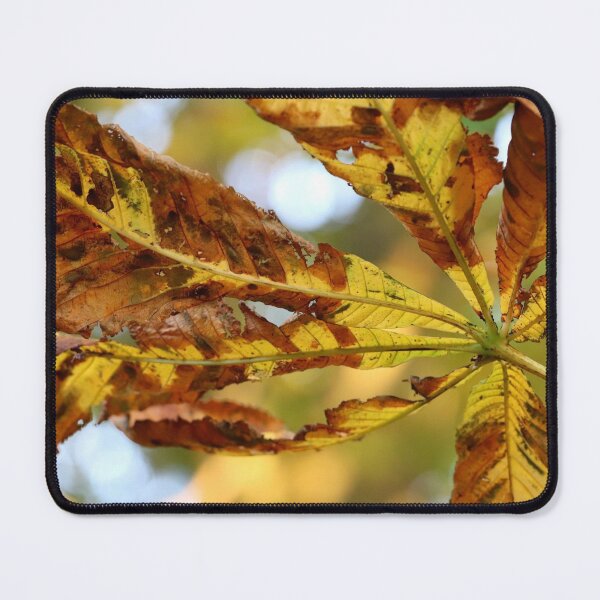 Item preview, Autumn Abstract designed and sold by cuprum.