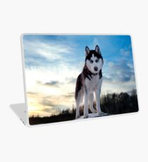 Husky Laptop Skin