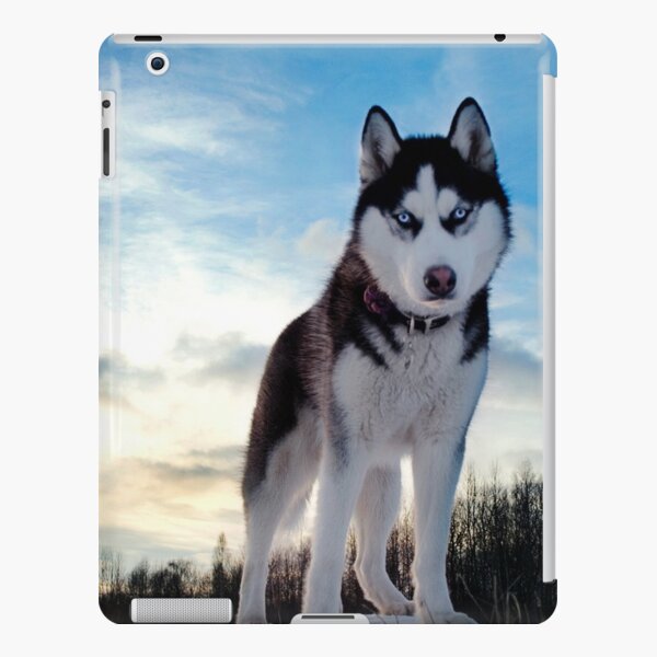 Husky iPad Snap Case