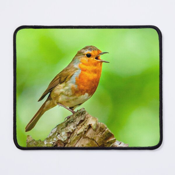 Item preview, Singing Robin designed and sold by Dalyndigital Photography.