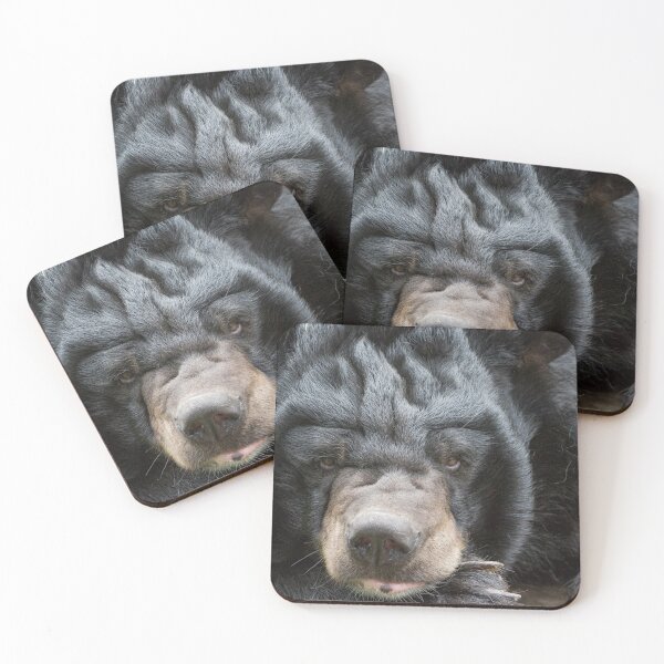 Item preview, Growl designed and sold by Ingo Gerlach.