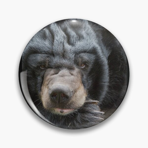Item preview, Growl designed and sold by Ingo Gerlach.