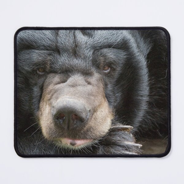 Item preview, Growl designed and sold by Ingo Gerlach.