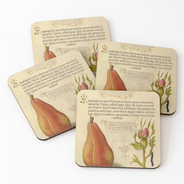 Item preview, Naturalist Manuscript: Fruit, Flower, and Calligraphy Illumination by Joris Hoefnagel designed and sold by Naturalist Prints.