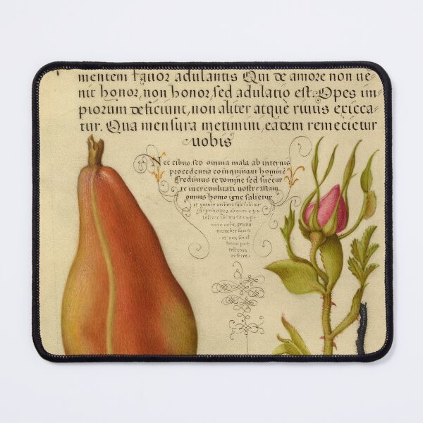 Item preview, Naturalist Manuscript: Fruit, Flower, and Calligraphy Illumination by Joris Hoefnagel designed and sold by Naturalist Prints.