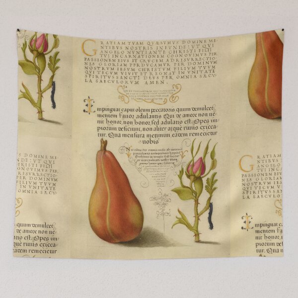 Item preview, Naturalist Manuscript: Fruit, Flower, and Calligraphy Illumination by Joris Hoefnagel designed and sold by Naturalist Prints.
